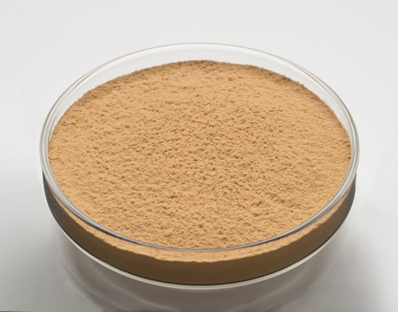 納豆激酶NattoOne®Biotic