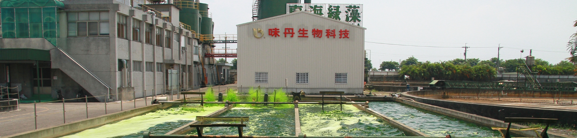 味丹生技綠藻萃取物、藍藻、納豆激酶、γ-PGA聚麩胺酸、膠原蛋白健康素材